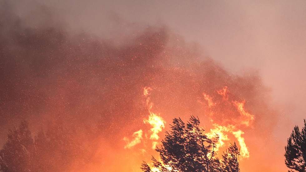 Bombeiros combatem as chamas no Alto do Alvide, Cascais, 25 de julho de 2023. 423 operacionais, apoiados por 111 veículos e 14 meios aéreos combatem um incêndio que deflagrou em Alcabideche, no concelho de Cascais e que já causou ferimentos ligeiros num bombeiro. MANUEL DE ALMEIDA/LUSA