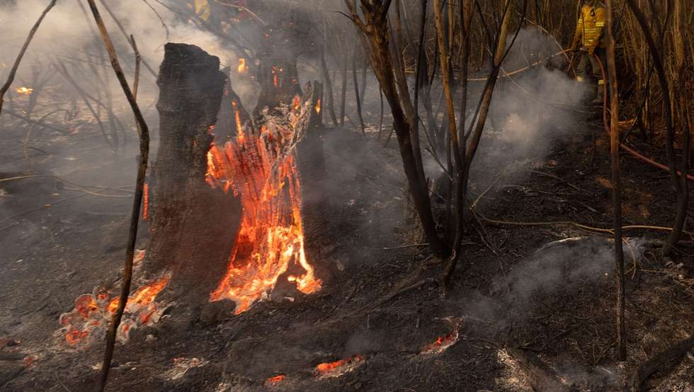 Bombeiros combatem um incêndio em Raiz do Monte, Vila Pouca de Aguiar, 19 de Setembero de 2024. Sete pessoas morreram e cerca de 120 ficaram feridas nos incêndios que atingem desde domingo sobretudo as regiões Norte e Centro do país, nos distritos de Aveiro, Porto, Vila Real, Braga, Viseu e Coimbra, e que destruíram dezenas de casas e obrigaram a cortar estradas e autoestradas. PEDRO SARMENTO COSTA/LUSA