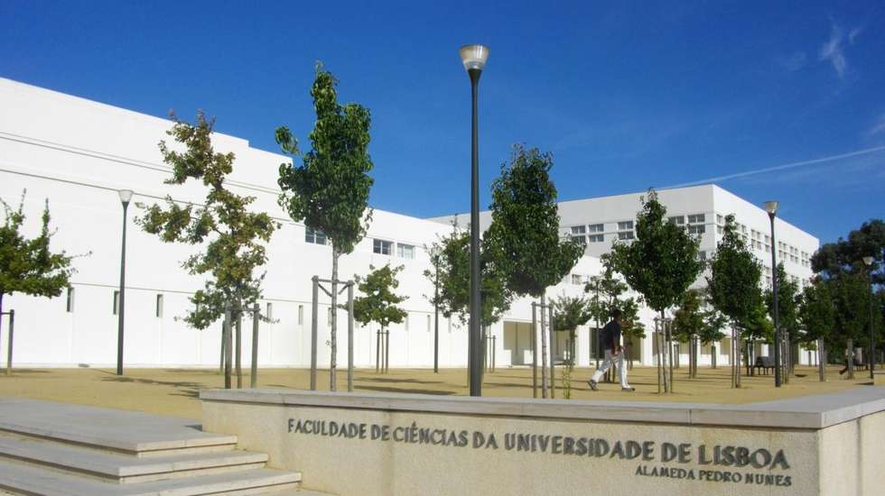Esta proposta partiu da Secção do Património Arquitetónico e Arqueológico do Conselho Nacional de Cultura, tendo obtido, em setembro, a concordância da DGPC