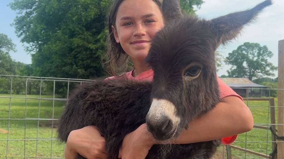 HeeHaw nasceu e cresceu na Elsberry Farm, em Rockmart, no estado da Geórgia