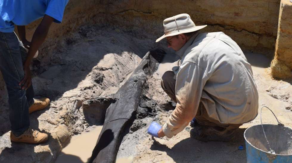 Imagem divulgada pela Universidade de Liverpool mostra os trabalhos dos arqueólogos