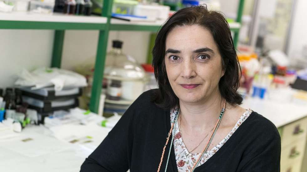 A investigadora portuguesa já tinha sido distinguida, este mês, com o Prémio Pessoa 2020