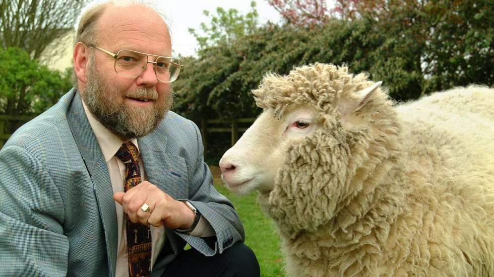 Morreu Ian Wilmut, 'pai' da ovelha Dolly – Observador