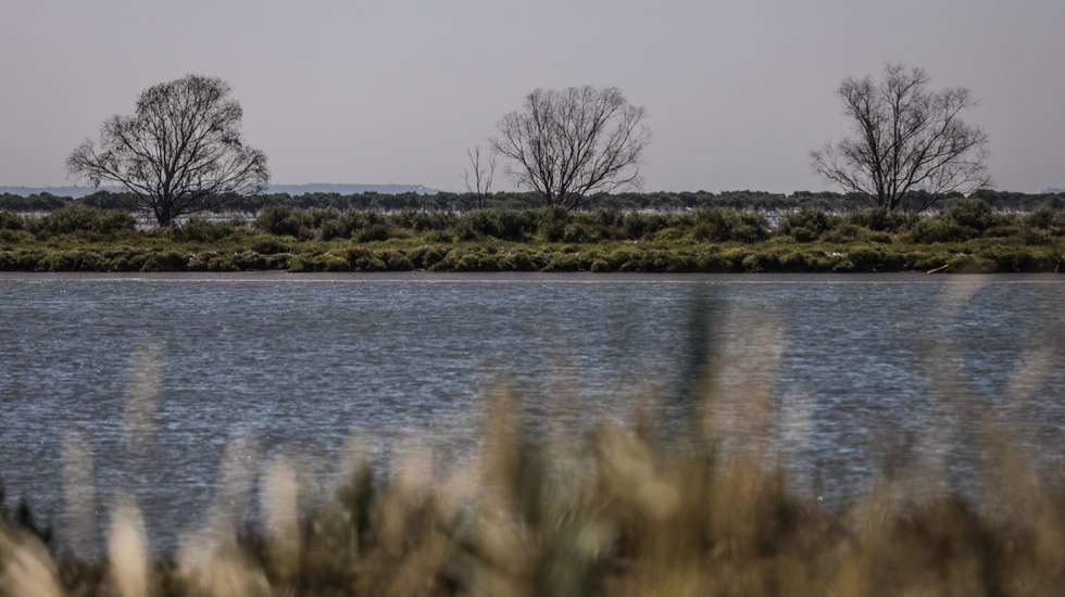 O decreto-lei em questão foi aprovado pelo Governo em julho, para simplificar licenciamentos em matéria ambiental, e esteve até esta sexta-feira em consulta pública