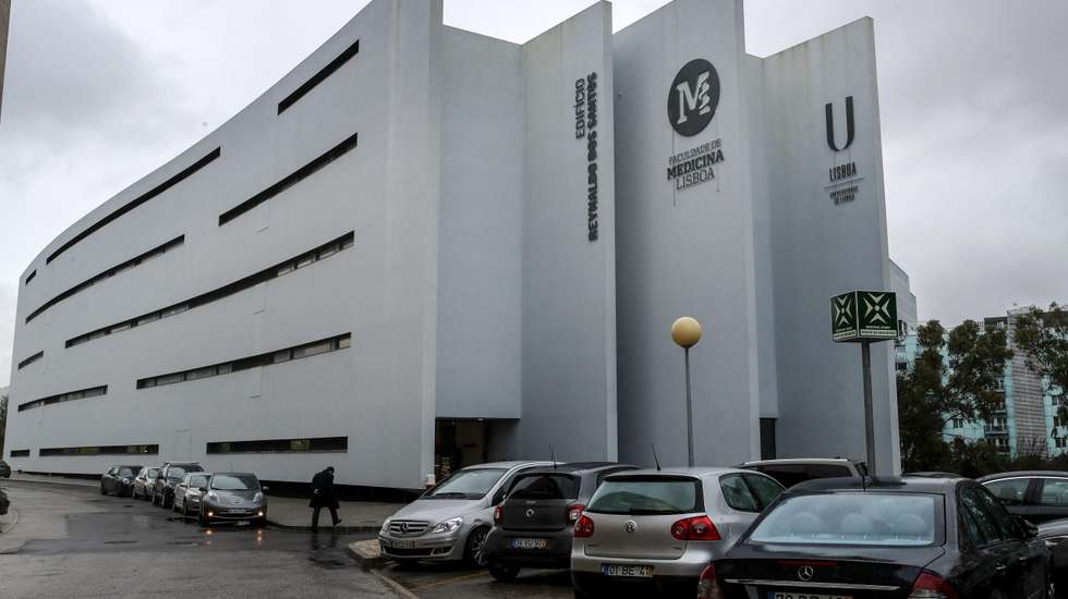 Equipa vai "trabalhar no aperfeiçoamento das vias e formas de administração" da substância antes do teste em humanos