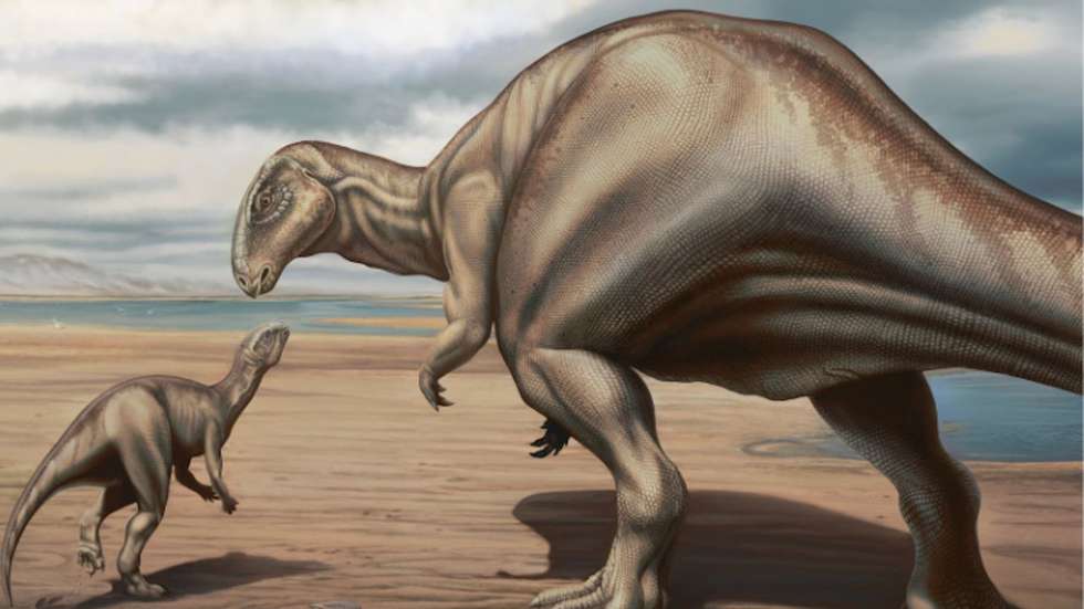 Iguanodon