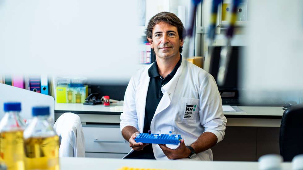 Bruno Silva-Santos é professor de Imunologia na Faculdade de Medicina da Universidade de Lisboa e lidera o seu próprio grupo de investigação no Instituto de Medicina Molecular João Lobo Antunes (IMM), do qual é também vice-diretor