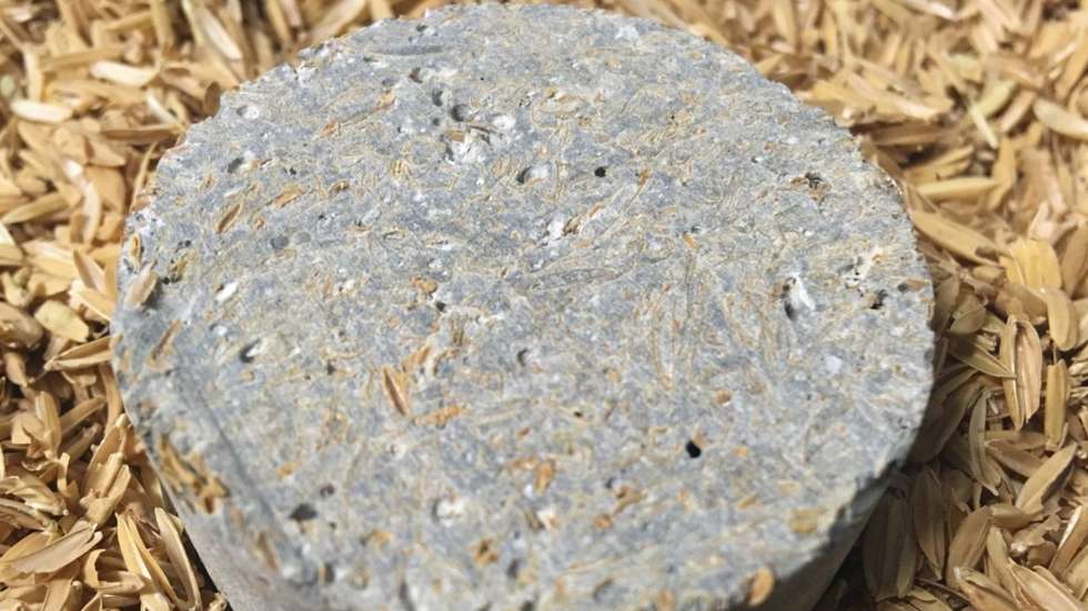 Projeto RiceHUSK+ procura "ir ao encontro da sustentabilidade através da eficiência energética"