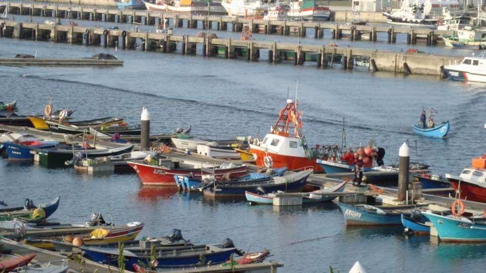 De acordo com a UCCF, o pescado apreendido será submetido a controlo higiossanitário por parte das autoridades competentes, de forma a determinar o seu destino final
