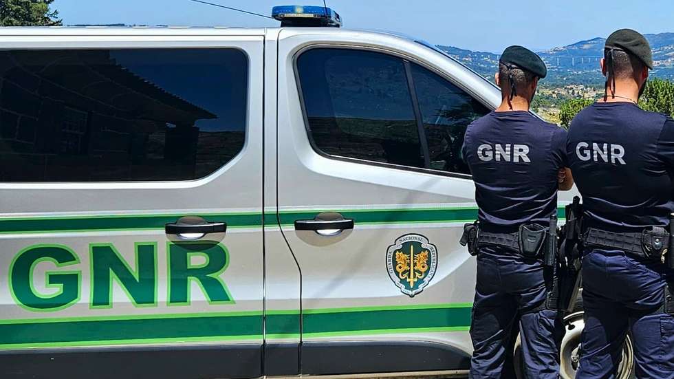 No decurso da ação policial, foram detetados sete homens, tendo um oitavo sido localizado escondido numa zona de mato