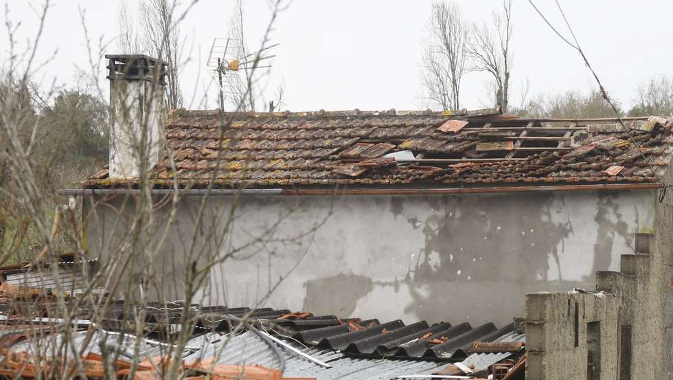 Bombeiros voluntários de Oeiras reparam um telhado de uma casa em Cardiais, Vila Cã, Leiria, 05 de fevereiro de 2026. Onze pessoas morreram em Portugal desde a semana passada na sequência da passagem das depressões Kristin e Leonardo, que provocaram também algumas centenas de feridos e desalojados.  ANTÓNIO PEDRO SANTOS/LUSA