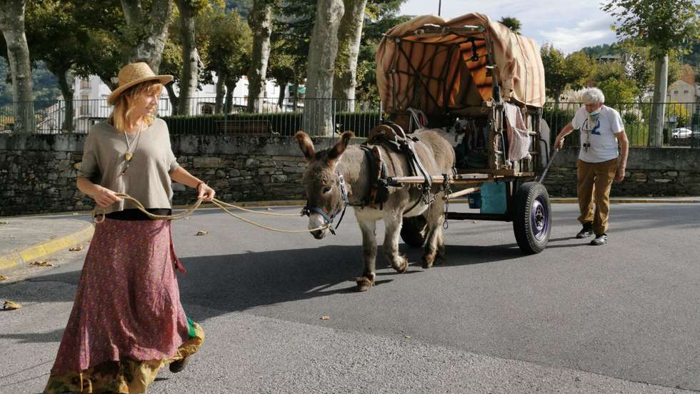 Burro Óscar a caminho de Santiago