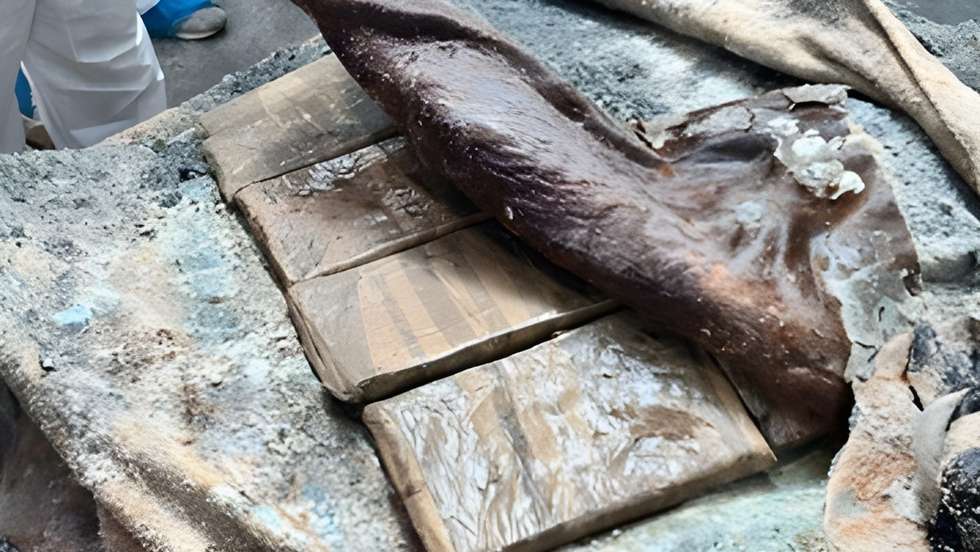 Pacotes de Droga