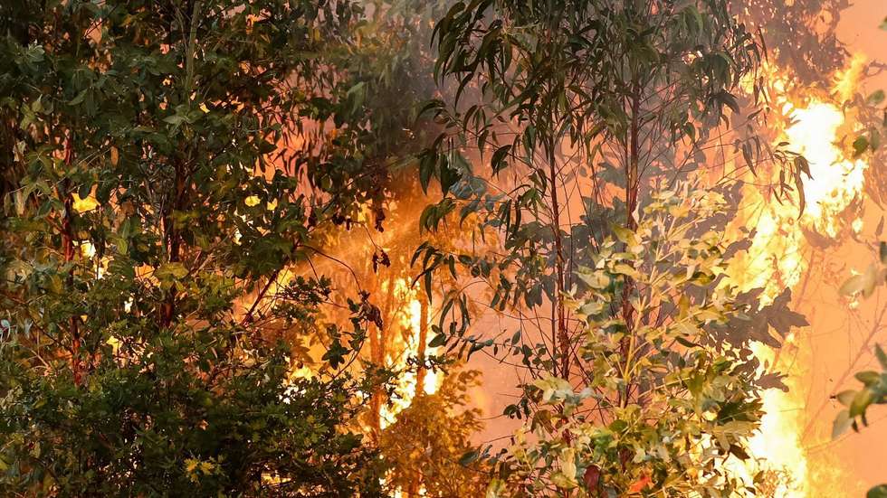 "Não foi uma mudança cultural gradual, mas uma resposta ao colapso ambiental", sublinhou investigador