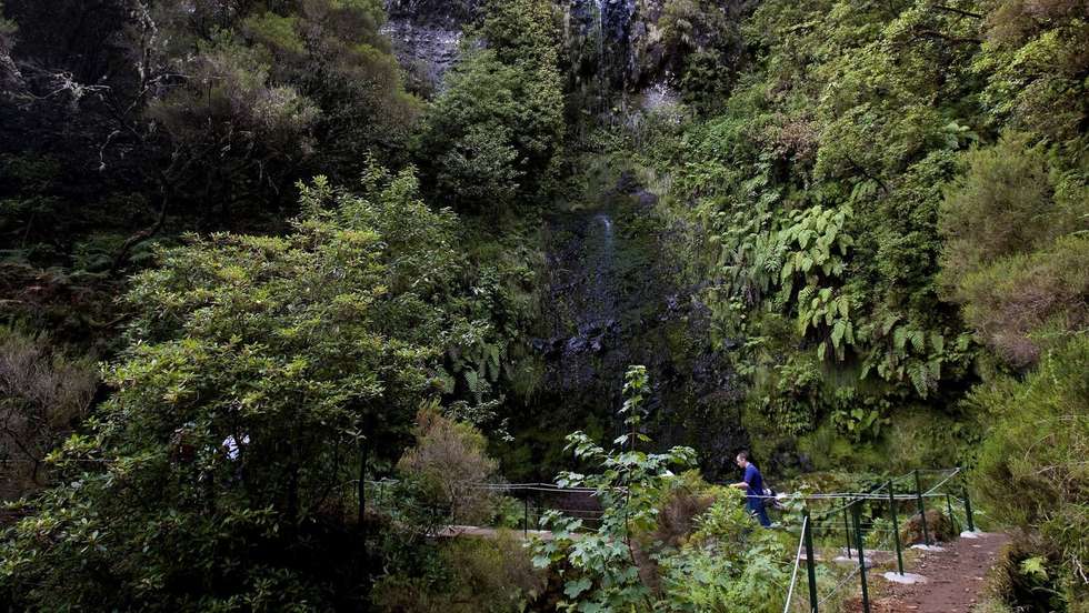 Serras do interior da Ilha da Madeira, no Ribeiro Frio, com estreitos caminhos pedestres, geralmente acompanhados por levadas, que são muitos utilizados por turistas para passeios, em Santana, Ilha da Madeira, 21 de Junho de 2008. HOMEM DE GOUVEIA/LUSA