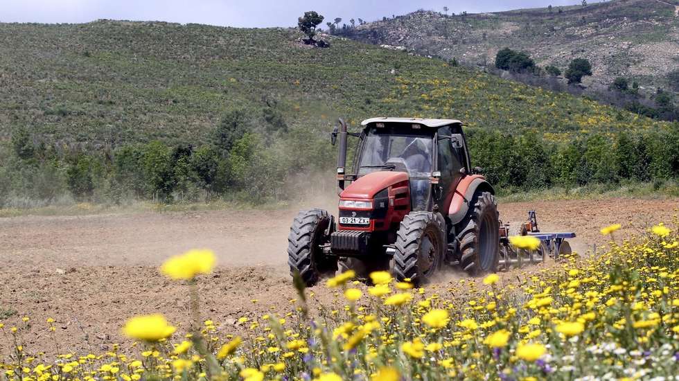 A produtividade do trabalho agrícola aumentou em 19 países da UE em 2025