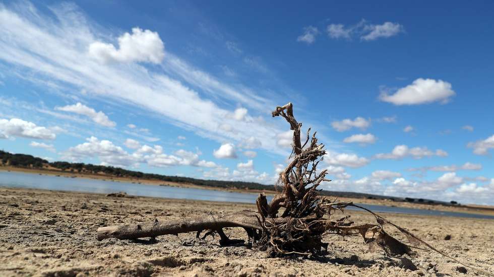 O serviço europeu Copernicus já tinha informado que julho foi o mês mais quente alguma vez registado na Terra, marcado por ondas de calor e incêndios em todo o mundo