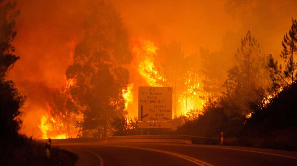 O fogo ateado propagou-se e queimou uma área florestal de cerca de 200 metros quadrados, de acordo com o Ministério Público