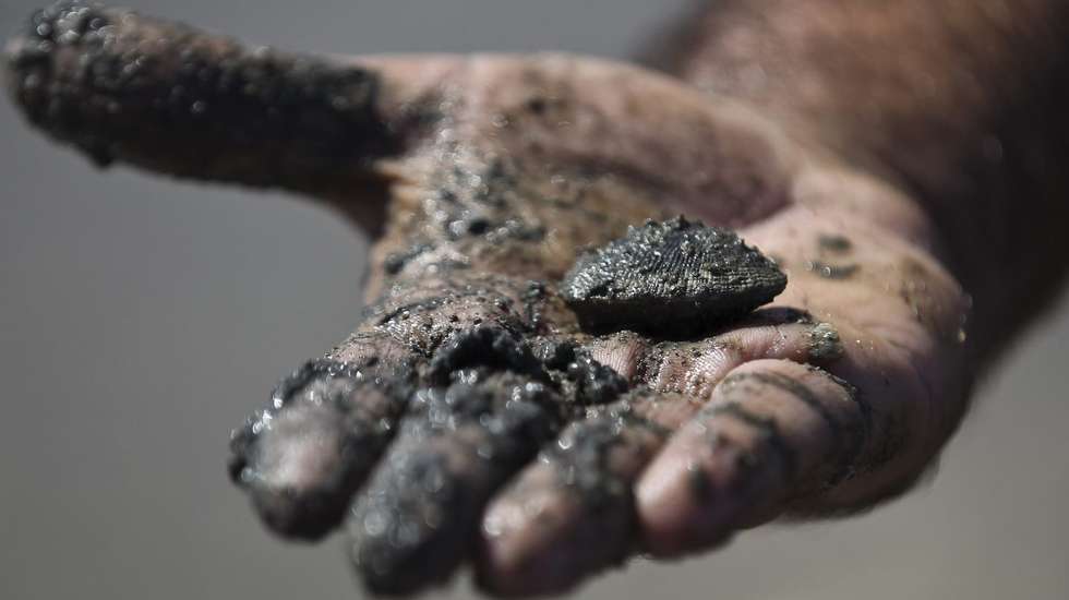 Reportagem sobre apanha ilegal de ameijoa em Alcochete, 23 agosto 2012. A crise e o desemprego estão a empurrar cada vez mais pessoas para a apanha ilegal de ameijoa no rio Tejo, que diariamente é inundado por centenas de mariscadores, na procura de sustento para a família.