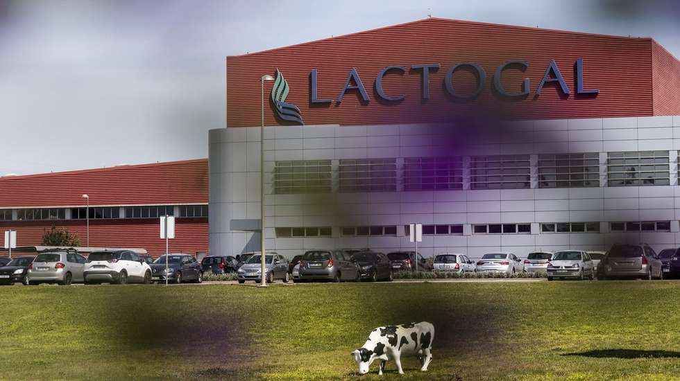 O grupo Lactogal detém marcas como a Mimosa, Castelões, Agros, Gresso, Matinal, Vigor, Milhafre dos Açores e Pleno, entre outras