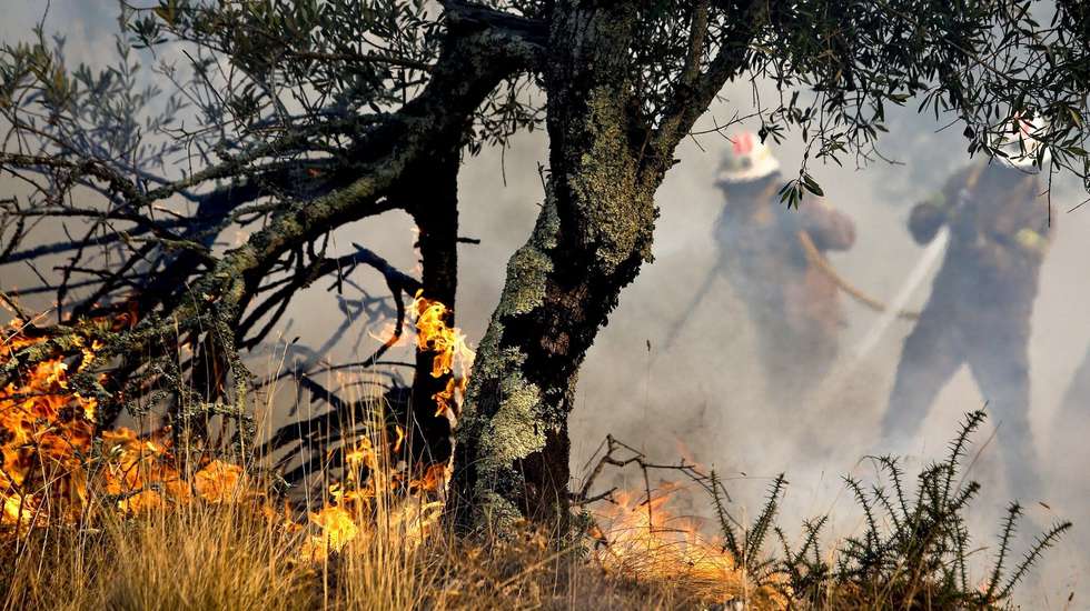 No arquipélago da Madeira, as temperaturas máximas "poderão rondar ou mesmo ultrapassar 30°C, em especial na vertente sul e nas regiões montanhosas"