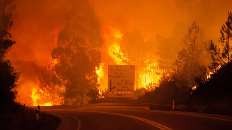 Entre 1 de janeiro e 11 de julho (sexta-feira), deflagraram 3.202 incêndios rurais que consumiram 9.974 hectares