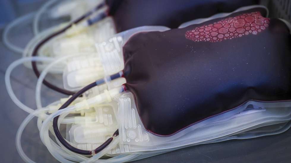 O serviço de dádiva de sangue do IPO do Porto funciona entre as 8h30 e as 19h de segunda a sexta-feira e aos sábados das 8h30 às 12h30