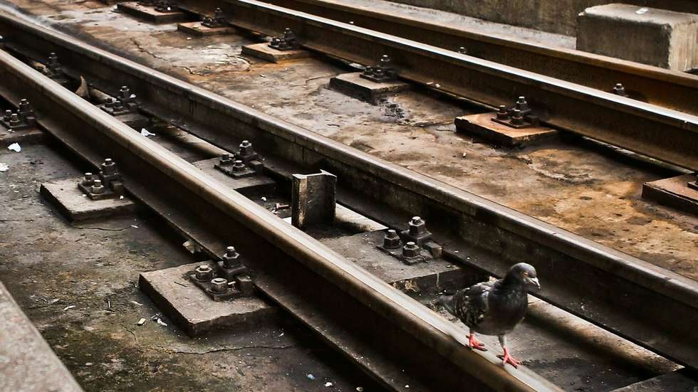 Fase 1 da ligação ferroviária de alta velocidade entre o Porto e Vigo poderá vir a custar mais 350 milhões de euros do que o previsto inicialmente