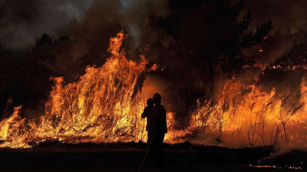 De acordo com quatro peritos australianos, Portugal não está a conseguir assegurar a eficiência das operações no que toca ao combate de incêndios