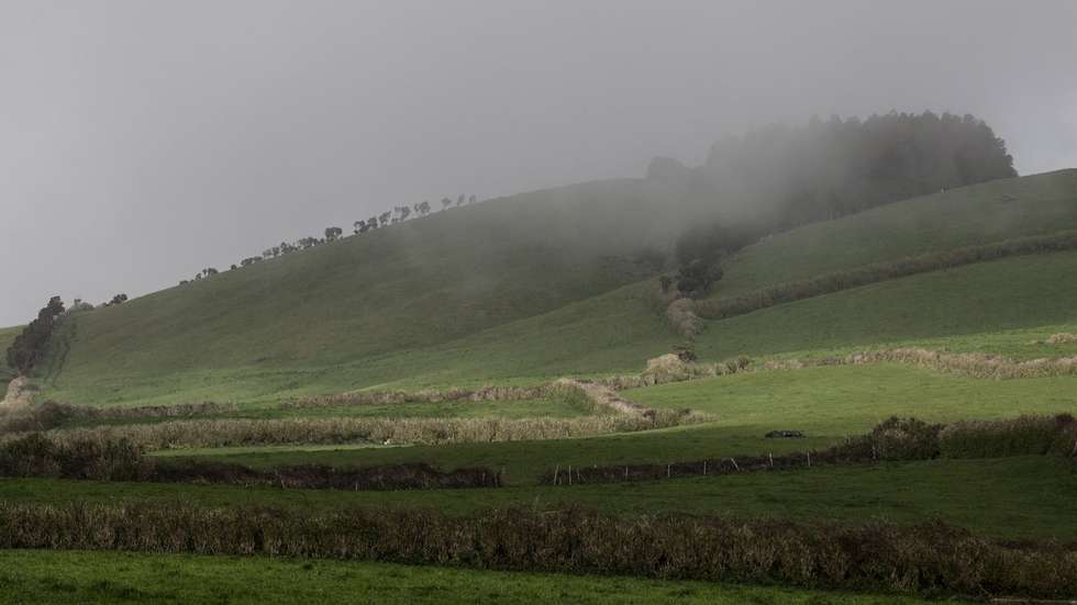 Açores