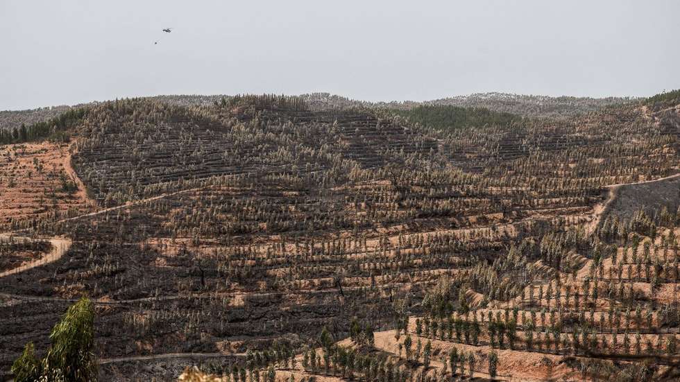 O relatório indica que este ano registaram-se menos 43% de incêndios rurais em relação à média anual dos últimos 10 anos