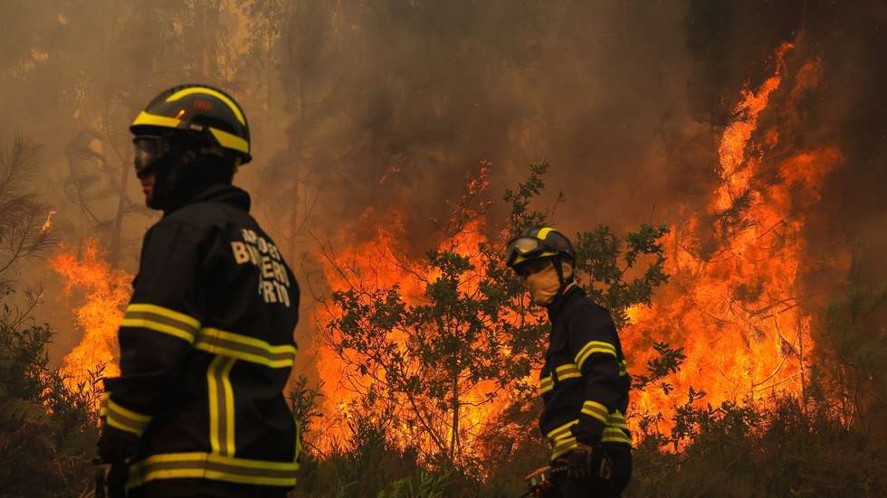 Em perigo máximo de incêndio rural estão mais de 30 concelhos dos distritos de Faro, Portalegre, Castelo Branco, Santarém, Leiria, Coimbra, Guarda, Viseu e Bragança