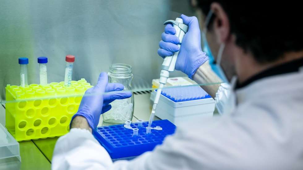 Resultados obtidos apontam para "um incumprimento de algumas das boas práticas de higiene neste tipo de estabelecimentos"