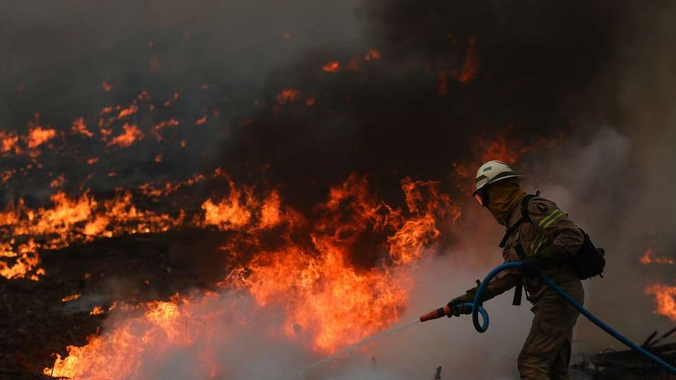 Este ano deflagraram 7.635 incêndios rurais, menos 26% do que em 2022, que consumiram 34.419 hectares, uma redução de 69% em relação a 2022.
