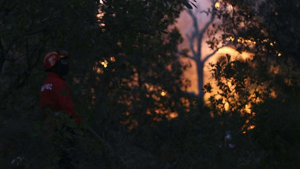 Segundo o IPMA, o perigo de incêndio vai agravar-se devido à previsão de tempo quente a partir de quinta-feira