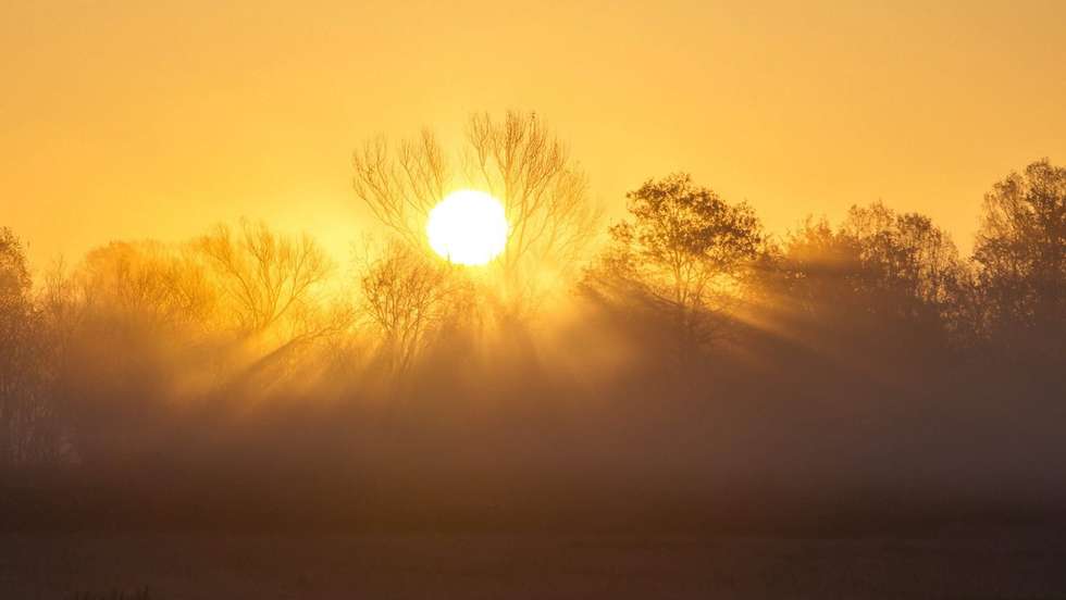 calor e incêndios