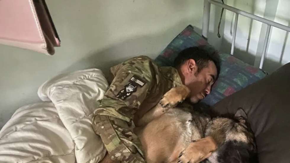 O pastor-belga-malinois foi levado para a Ucrânia por Carmona, que se alistou voluntariamente para combater ao lado das forças ucranianas