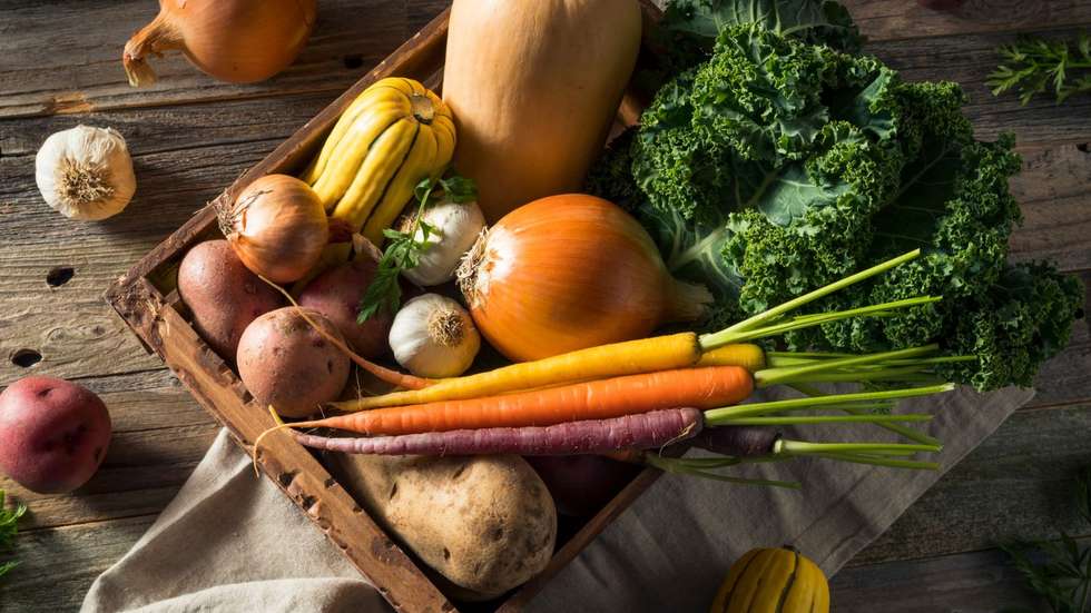 Cientistas recomendam limitar o consumo de produtos ultraprocessados e priorizar alimentos frescos ou minimamente processados