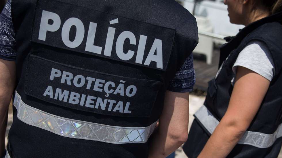 A operação foi feita pelas Brigadas de Proteção Ambiental (BRIPA), que desde 2015 estão envolvidas no projeto Defesa Animal, especialmente dedicado à proteção dos animais de companhia