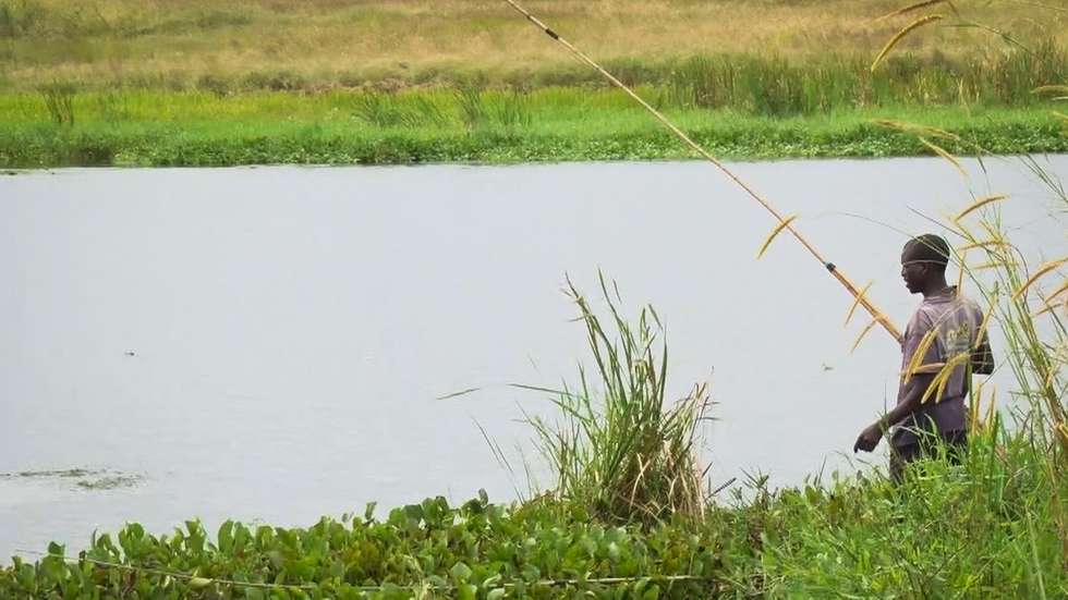 Represas agrícolas, de farmas coloniais, estão a virar centro de pescas de centenas de miúdos, alguns órfãos e outros abandonados, para sustento familiar, depois de verem agravar sua condição de pobreza com a devastação do ciclone idai, 17 abril 2019. (ACOMPANHA TEXTO DO DIA 20 ABRIL 2019).   ANDRÉ CATUEIRA / LUSA