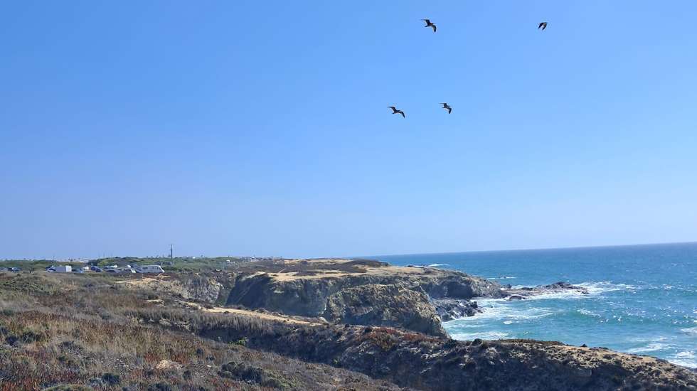 Porto Covo, no litoral alentejano, recebeu um título da Biosphere Portugal
