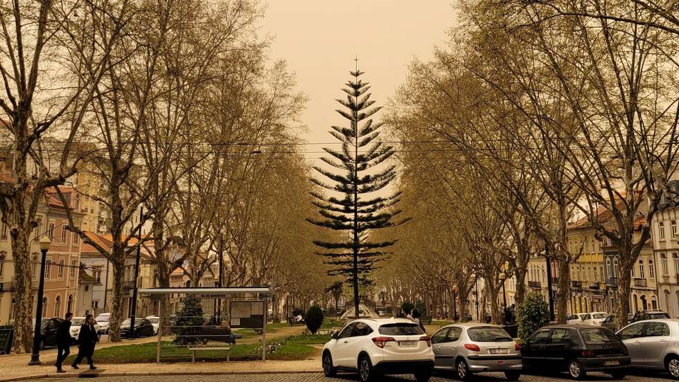 Chuva de Barro em Coimbra