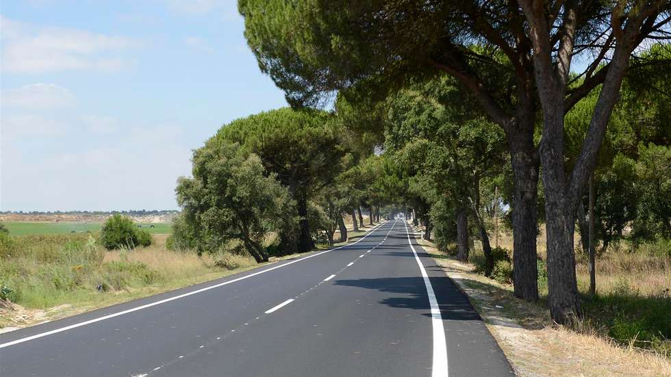 estrada nacional