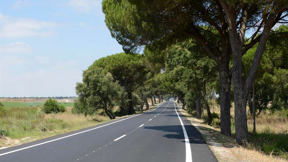 estrada nacional