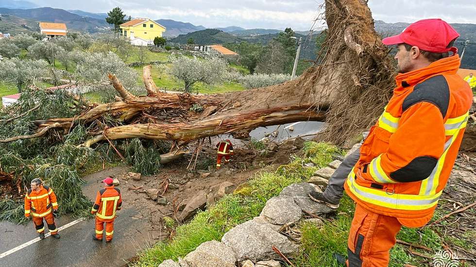 Tempestade Martinho em Alijó