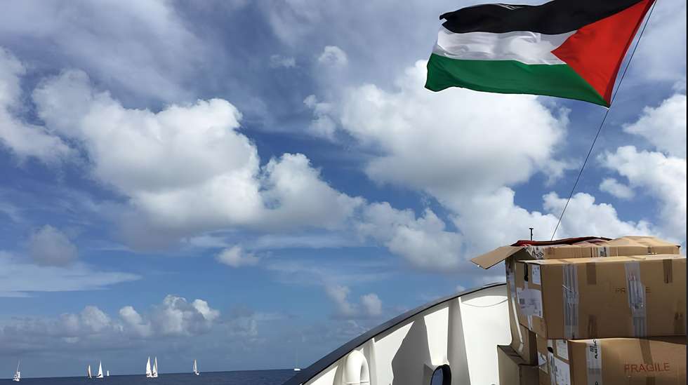 Os dois médicos portugueses foram detidos pelas autoridades israelitas no âmbito da missão "Sumud Global Flotilla"