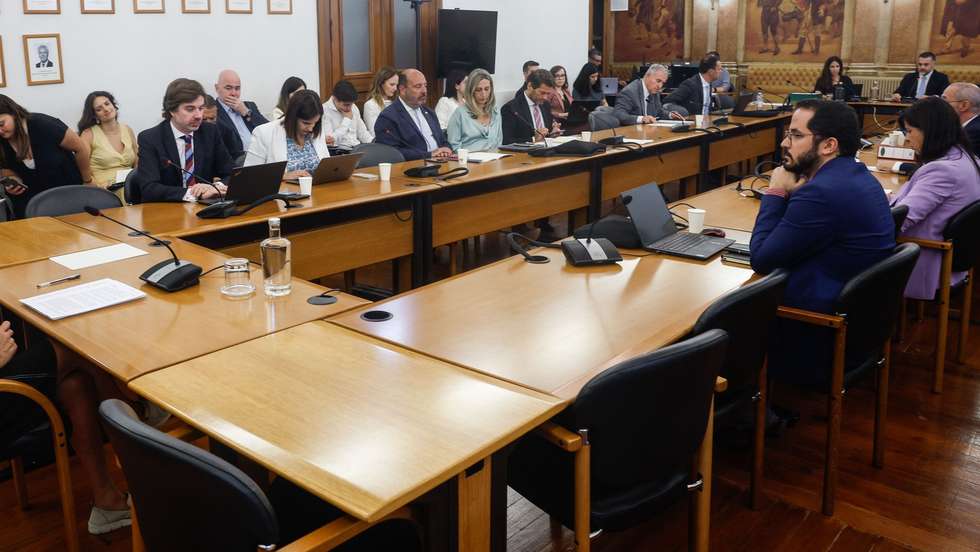 A consultora para os Assuntos Sociais, Sociedade e Comunidades da Casa Civil do Presidente da República, Maria João Ruela (E), intervém durante a sua audição Comissão Parlamentar de Inquérito - Gémeas Tratadas com o Medicamento Zolgensma, na Assembleia da República, em Lisboa, 24 de julho de 2024. ANTÓNIO PEDRO SANTOS/LUSA