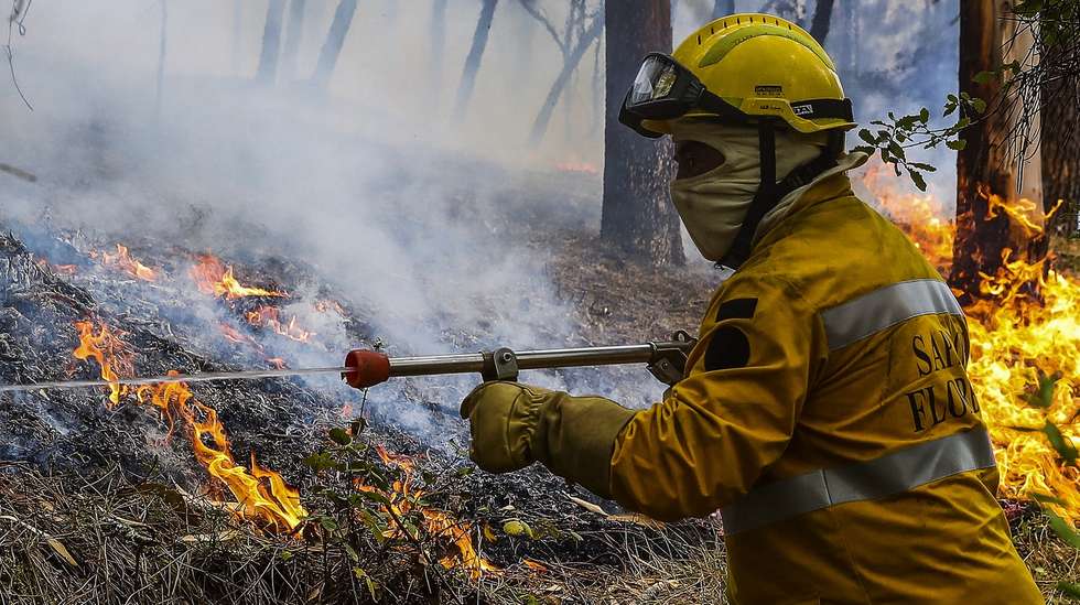 Um sapador florestal combate as chamas junto à aldeia de Rebolo, durante o incêndio que começou em Abiul, Pombal, na passada sexta-feira, Rebolo, Ansião, 14 de julho de 2022. PAULO NOVAIS/LUSA