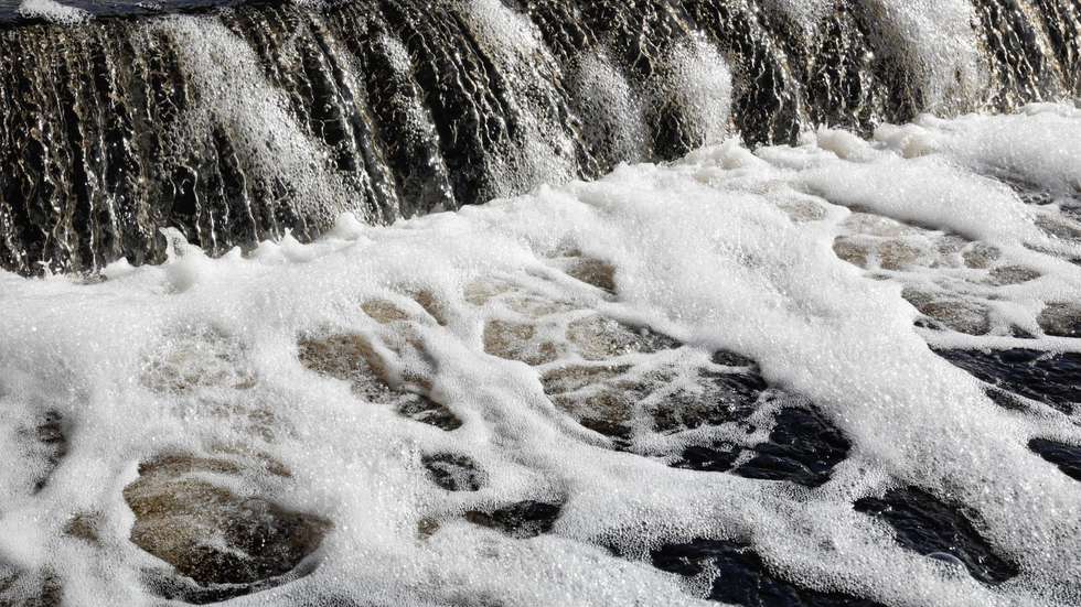 O município vai proceder ao "repovoamento com peixe neste troço do rio" e iniciou um processo de "remoção de limos e plantas
