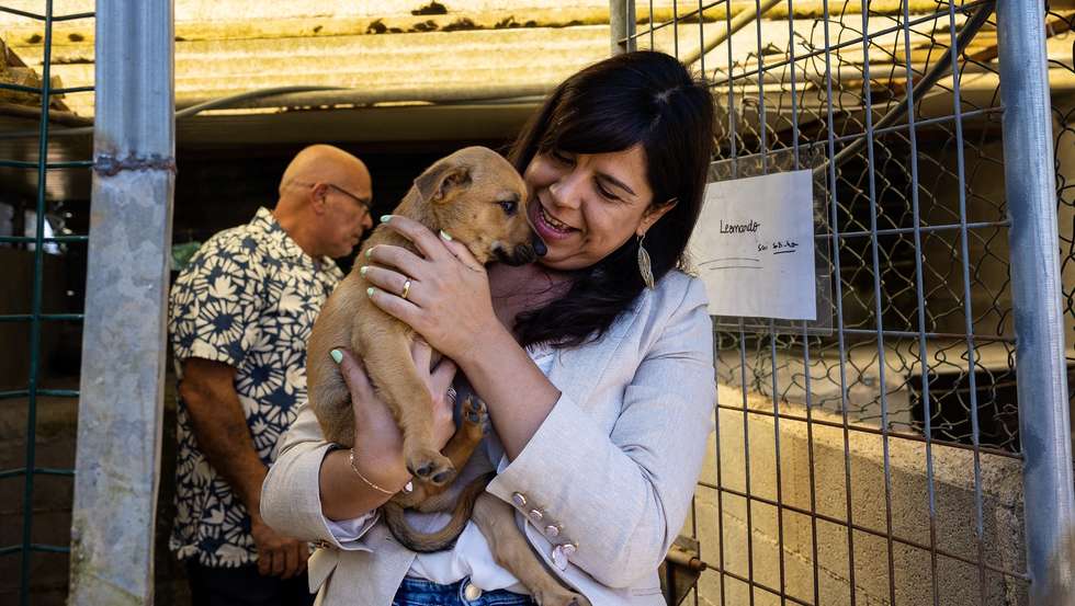 A porta-voz do Partido Pessoas-Animais-Natureza (PAN), Inês de Sousa Real, visita a Associação dos Amigos dos Animais de Santo Tirso, Porto, 18 de julho de 2024. O PAN organiza várias ações ligadas ao bem-estar animal, na data em que se assinalam quatro anos do incêndio da Serra da Agrela, em Santo Tirso, que tirou a vida a mais de 70 animais alojados em dois abrigos ilegais. JOSÉ COELHO/LUSA